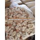 2016 Frozen cuttlefish roe fresh cuttlefish egg