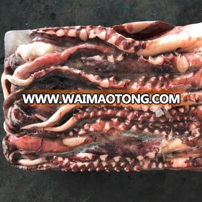 Frozen Giant Squid Tentalces